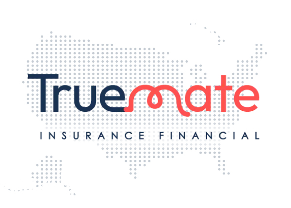 Insurance Companies in United States